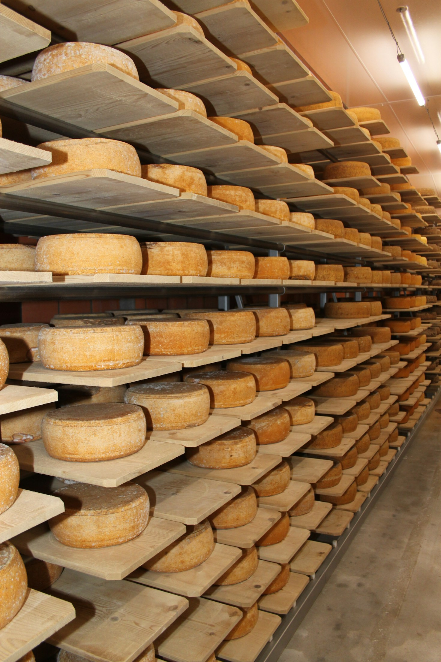 Comment accorder vins et fromages avec succès